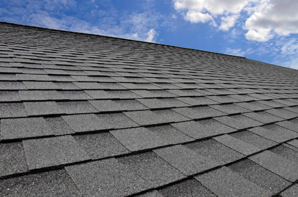 Best Roof Maintenance and Cleaning  in Toledo, OH